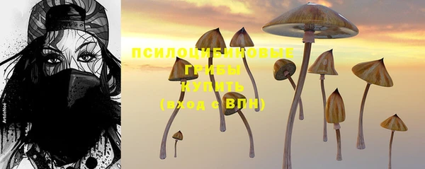 твердый Лиски