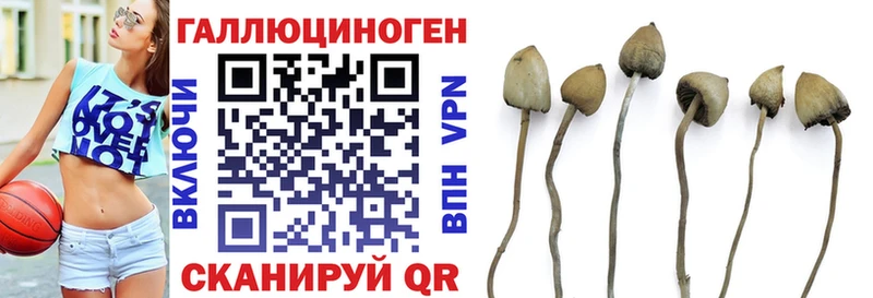 Галлюциногенные грибы GOLDEN TEACHER Протвино
