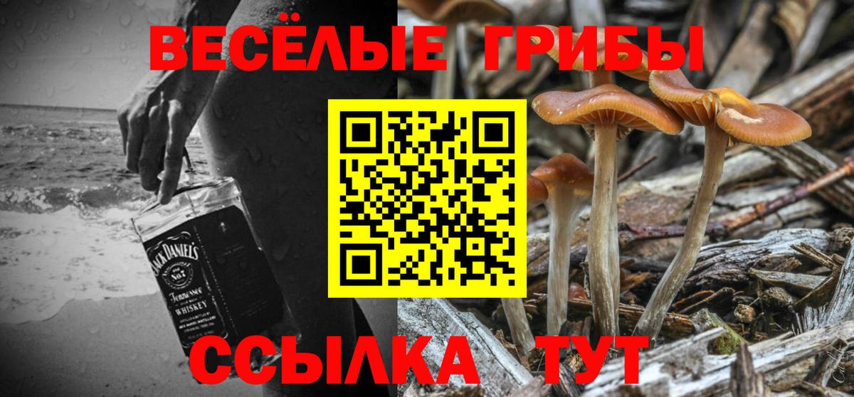 хочу   Галлюциногенные грибы мицелий  Вход с VPN  Протвино 